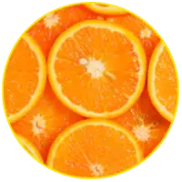 Citrus Aurantium-lavaslim-ingredient