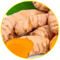 Curcuma-lavaslim-ingredient
