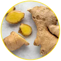 Ginger Root-lavaslim-ingredient